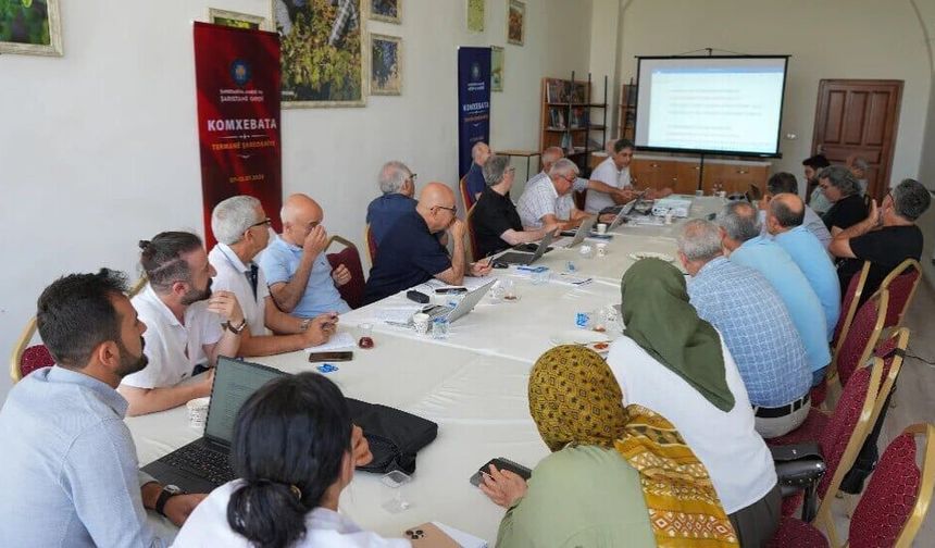 Amed de Komxebeta  Termînolojîyêka hempare