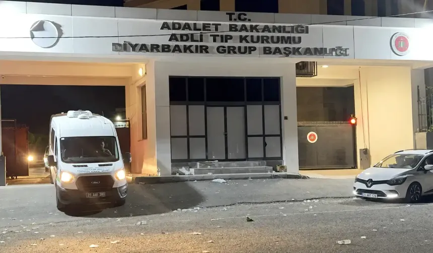 Amed de cinîyêka ciwane ameye kiştene