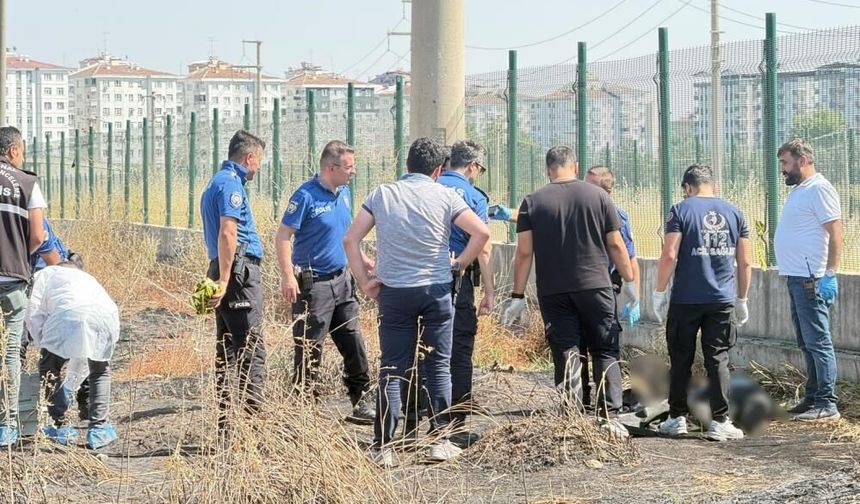 Amed  de tirmê yew camêrdî hêga de ame vînayîş