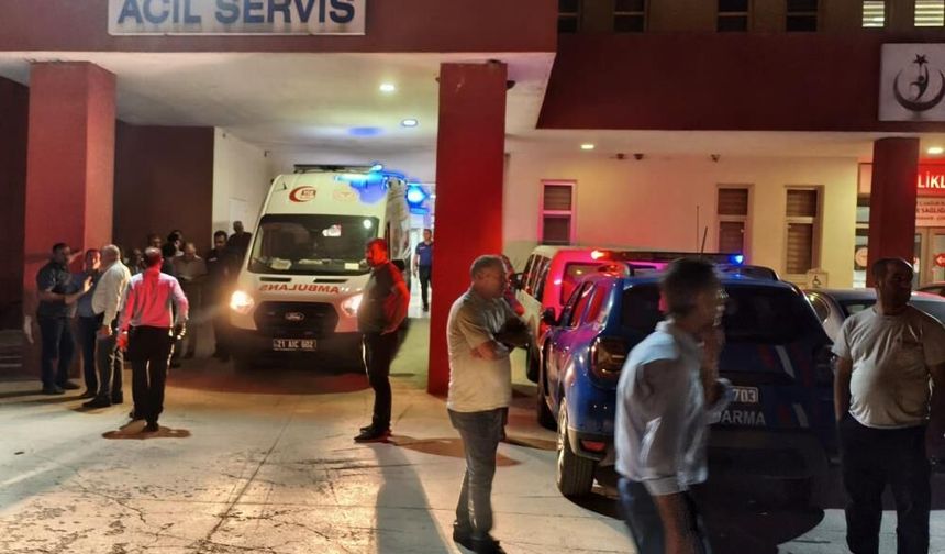 Şankuş de manga wayîrê xo kerd birîndar