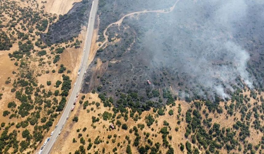 Xarpêt de şewat: Adir kewt daristanî
