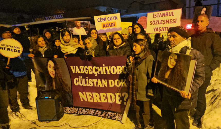 Tehqîqatê Gulistan Doku: Mabênê beyanê 176 kamerayan û dîmenanê Sarı Saltukî de nakokî