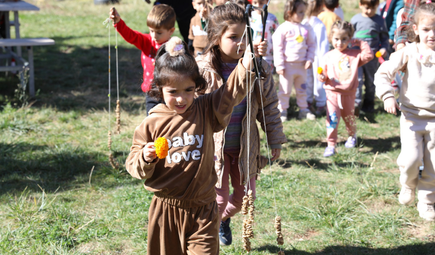 Diyarbakır (29)