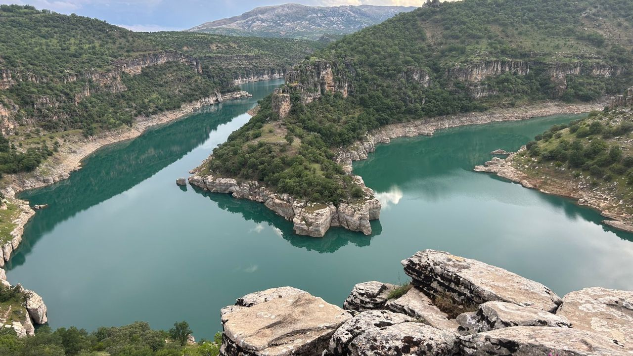 Sarı Siyah (1)-1