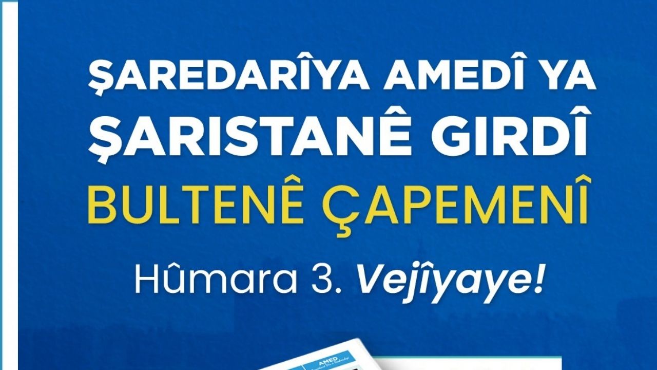 Diyarbakir Ucak Kazasi (33)