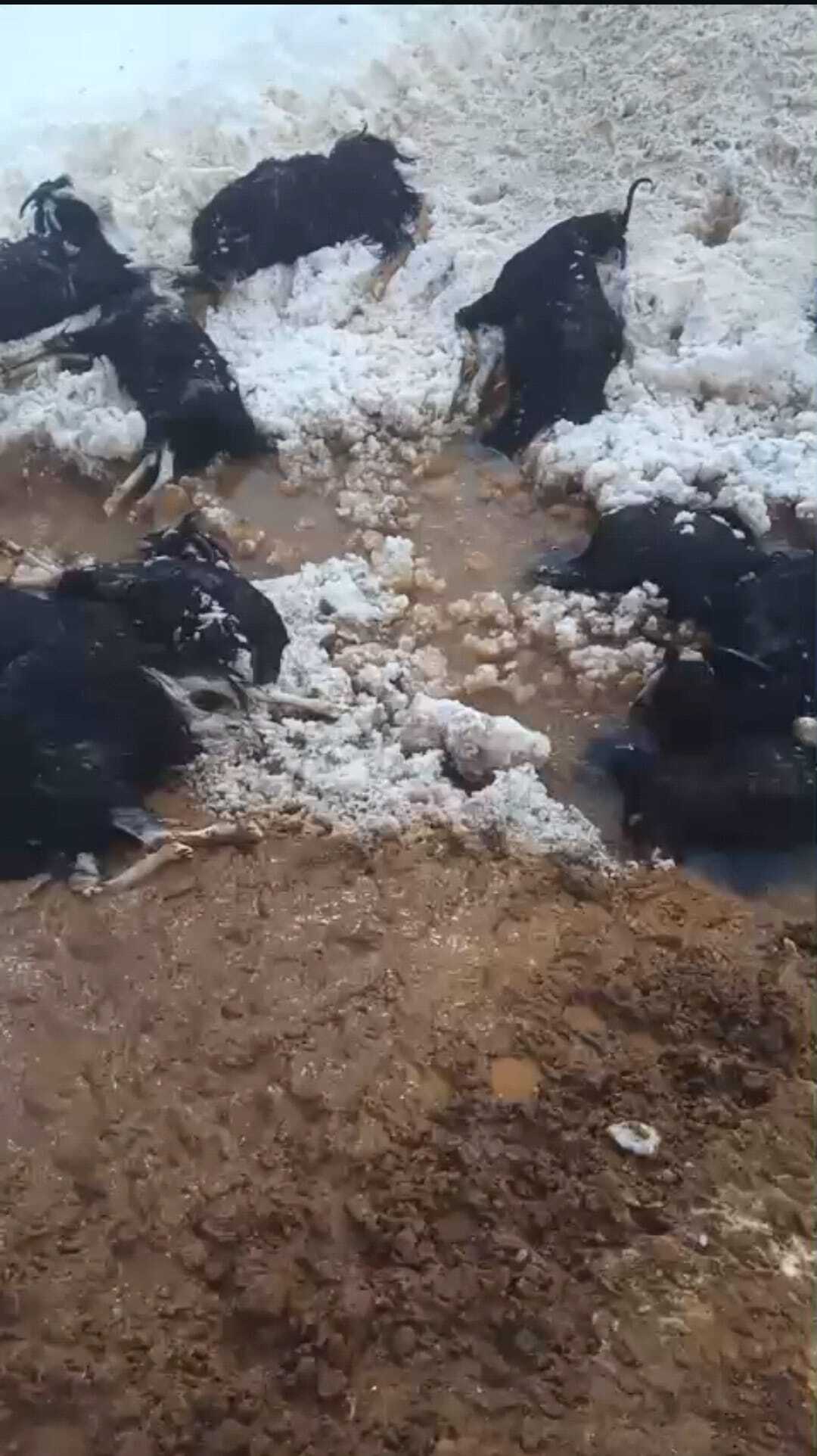 84488361 7A7C 4De2 95D6 027E505602Ce