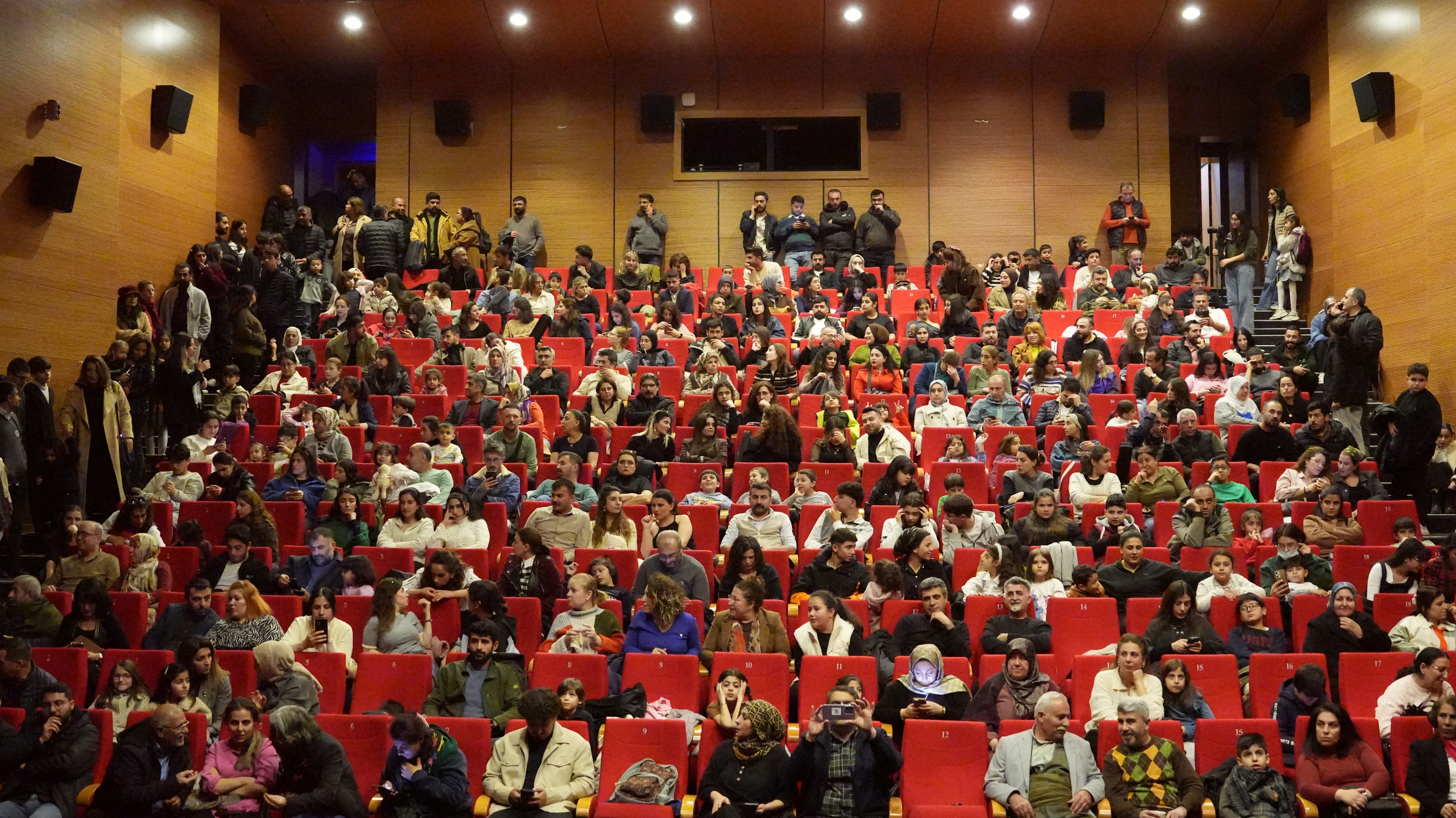 I M G 20260221 230632