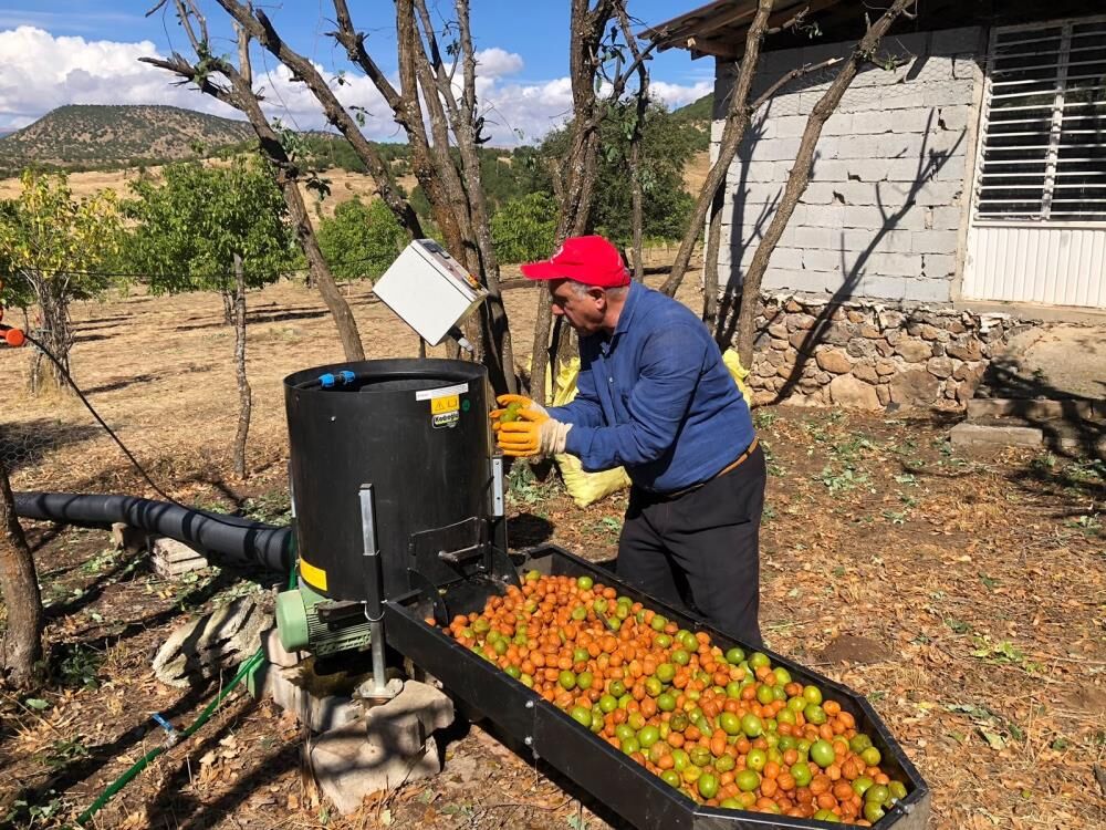 Çewlîg De Wextê Gozan O 150 Donimî Ra 6 Ton Gozî Ameyî Arêdayîş (2)