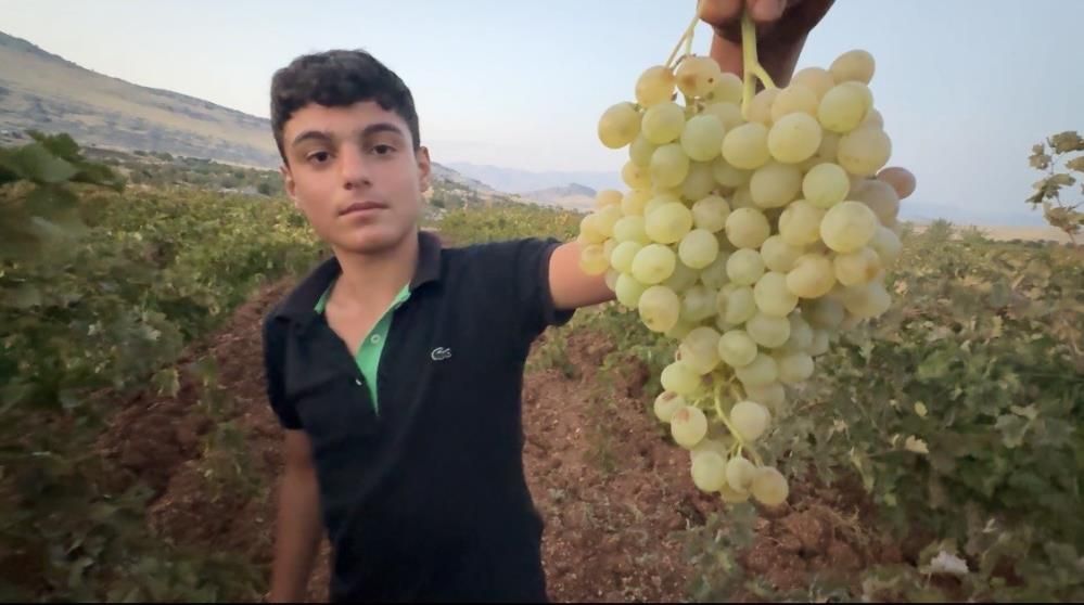 Engura Çêrmûge şirawîyena 81 bajaran