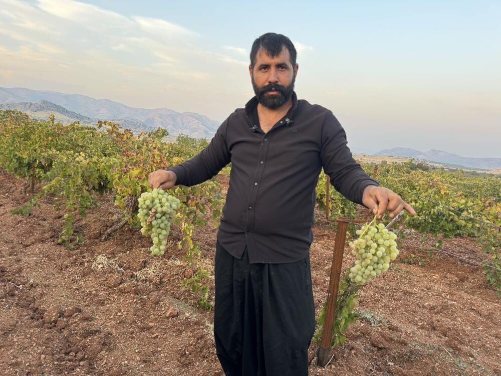 Engura Çêrmûge Şirawîyena 81 Bajaran