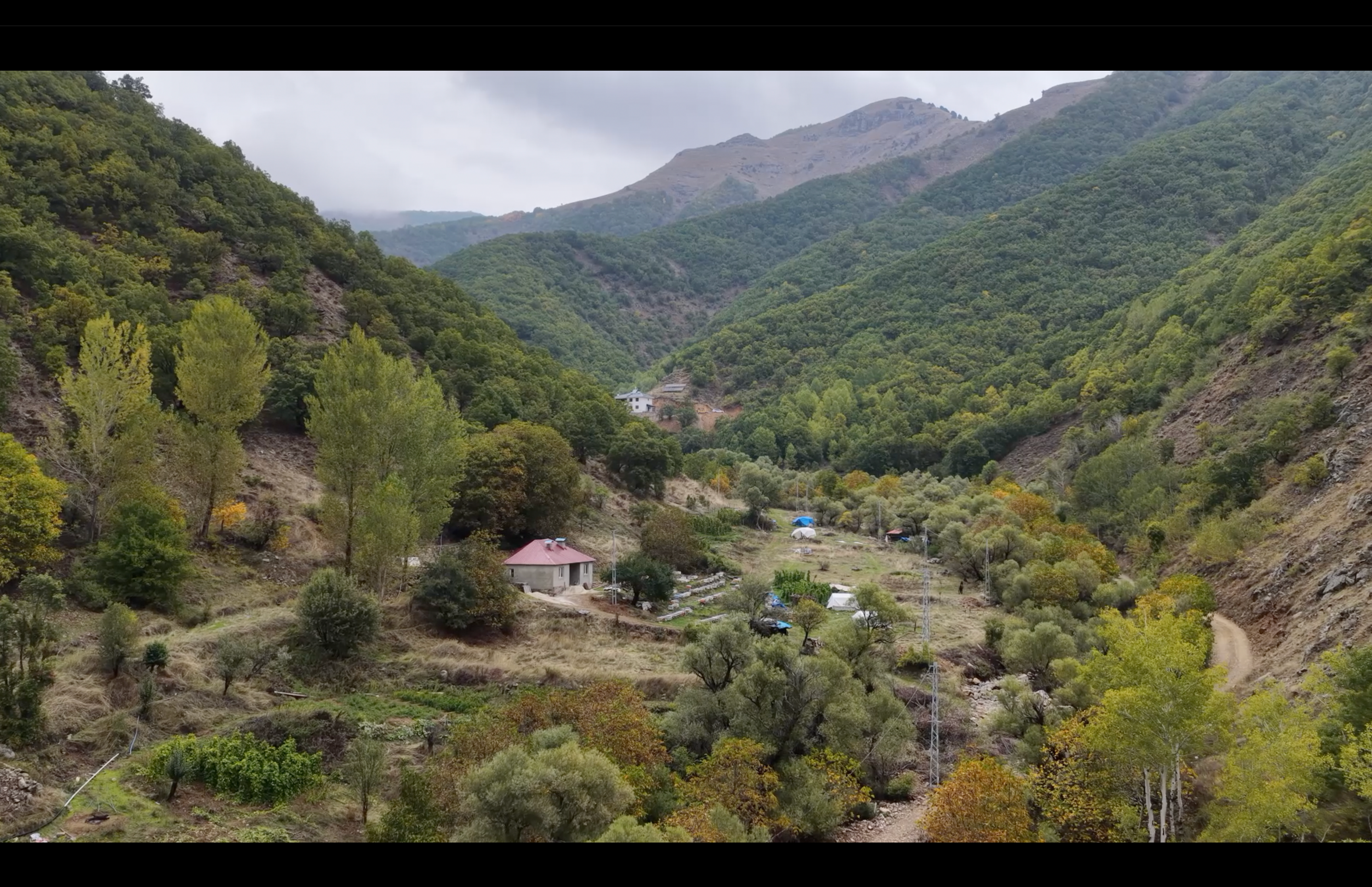 Se Serre Ra Dima Ceyran Şi Dewêka Dêrsimî (2)